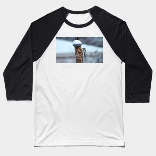 Winter Downy Woodpecker Peanut Bird Feeder Baseball T-Shirt